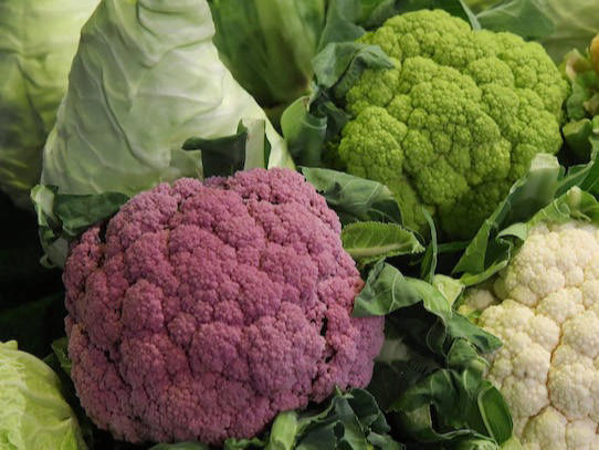 Fornitura Ortofrutta