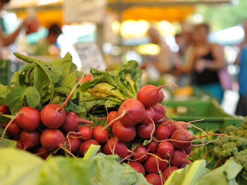 Forniture per Ristoranti e Pizzerie